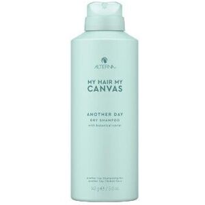 ALTERNA My Hair My Canvas Another Day Dry Shampoo 142 G