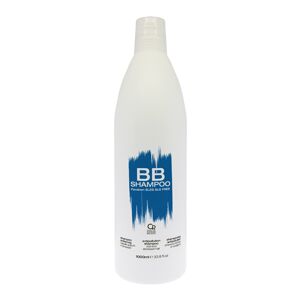 BB Hair Care Shampoo Antismog