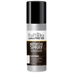 Zeta Farmaceutici Spa Euphidra Colorpro Ritoc Cast