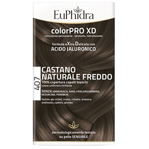 Zeta Farmaceutici Spa Euphidra Colorpro Xd 407 Cast