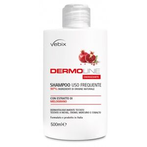 VEBI ISTITUTO BIOCHIMICO Srl DERMOLINE Melogr.Sh.500ml