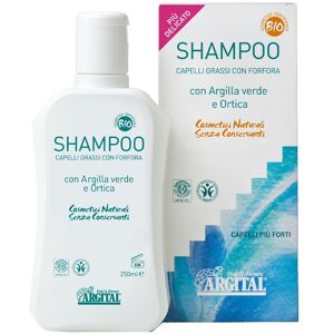 ARGITAL Srl SHAMPOO CAP GRAS/FORFORA 250ML