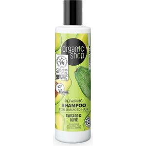 organic shop Shampoo Capelli Secchi e Trattati Shampoo Riparatore con Avocado ed Oliva