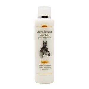 Biomeda Shampoo rinforzante al latte d’asina 250 ML