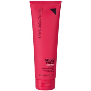 DIEGO DALLA PALMA Amico Frizz Shampoo 250ml