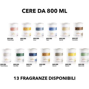 12 Barattoli Cera in barattolo da 800 ml