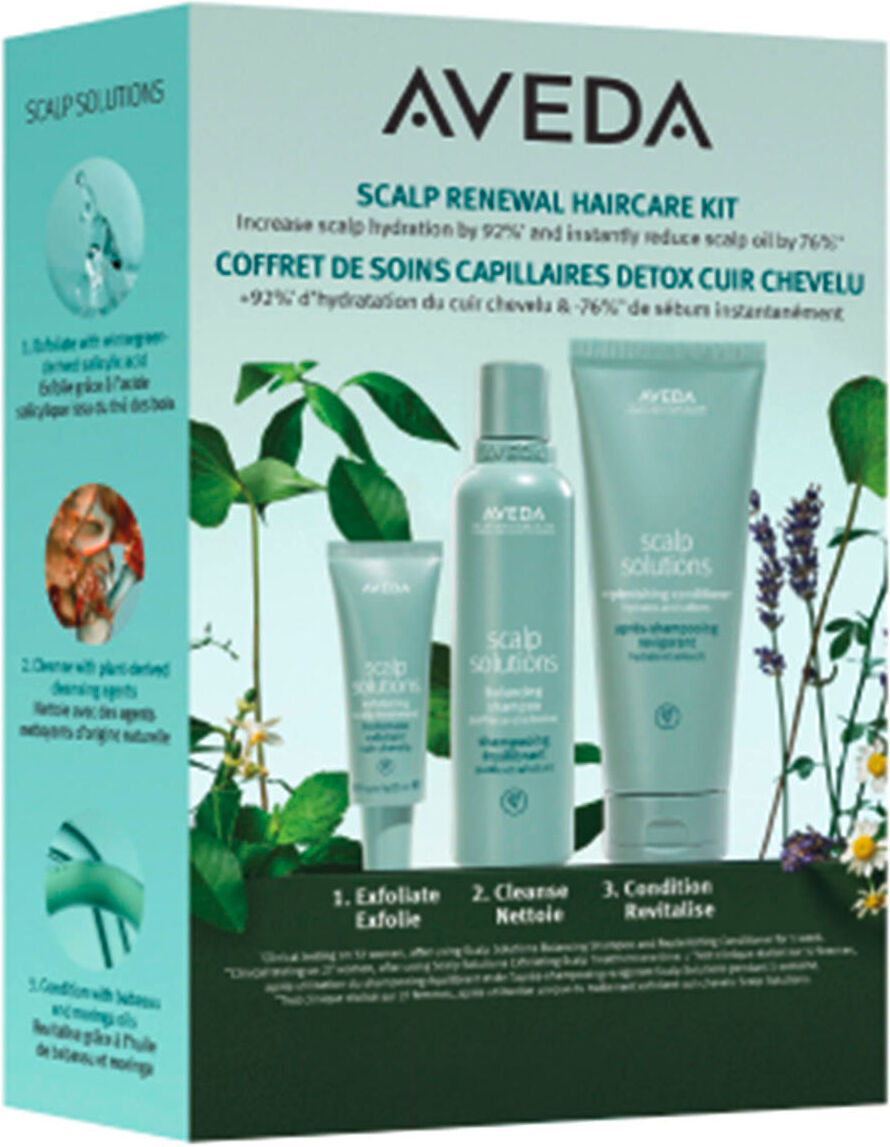 AVEDA Scalp Solutions Scalp Renewal Haircare Kit