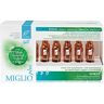 MiglioPlus - Dr. Taffi MiglioPlus Dr. Taffi Ampullen Miglio Plus 250 g