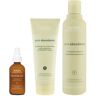 Aveda Pure Abundance Volumising Trio- Shampoo, Conditioner & Purescription Volumising Tonic