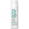 Briogeo Destined For Density Caffeine + Biotin Peptide Density Shampoo (236 ml)