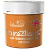 La Riche Directions 88ml Apricot