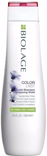 Matrix Biolage Colorlast Purple Shampoo 250 ml Shampoo