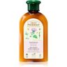 Green Pharmacy Hair Care Burdock Oil condicionador anti-queda capilar 300 ml. Hair Care Burdock Oil