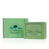 Dr. Tree Solid Shampoo uso frequente 2 em 1 75 gr