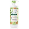 Klorane Petit Junior Shampoo Desembaraçador 500ml