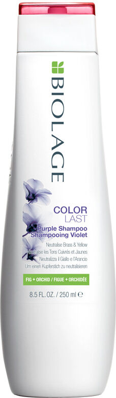 Matrix Biolage Colorlast Purple Shampoo 250 ml