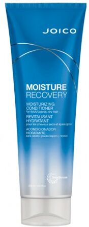 Joico Moisture Recovery Condicionador Cabelo Seco 250ml