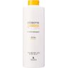 Lendan LD Pilosome Stimul Shampoo gegen Haarausfall, 1000 ml