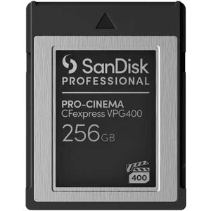 SANDISK Speicherkarte 