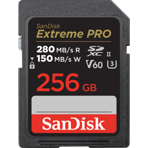 Sandisk SDSDXEP256GGN4IN - SDHX-Speicherkarte, 256GB