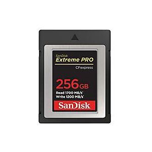 SanDisk Extreme Pro - Flash-Speicherkarte - 256 GB - CFexpress