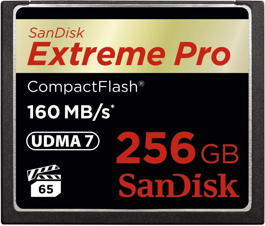 SANDISK Speicherkarte "CF Extreme Pro" Speicherkarten Gr. 256 GB, schwarz Speicherkarten