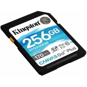 SD-hukommelseskort Kingston SDG3/256GB