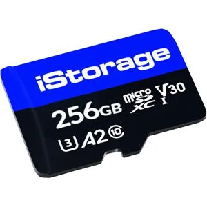 Istorage 10-pack 256gb Microsdxc