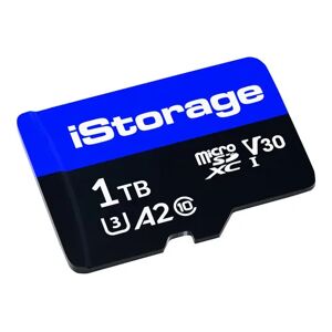 Istorage 10-pack 1,000gb Microsdxc