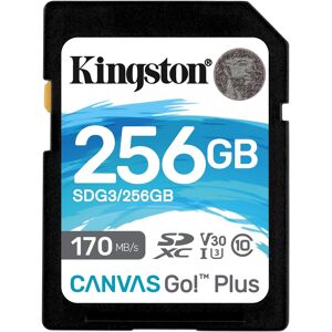 Kingston Canvas Go Plus Uhs-I U3 Sdxc Kort - 256 Gb