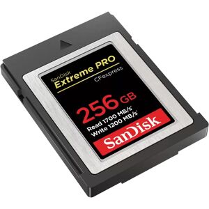 SanDisk SDCFE-256G-GN4NN hukommelseskort 256 GB CFexpress