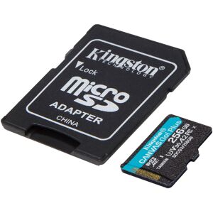 Kingston Canvas Go! Plus 256 GB SD UHS-I Klasse 10, Hukommelseskort