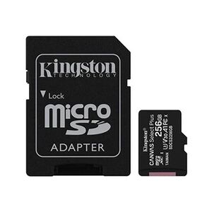 Kingston Canvas Select Plus - Carte mémoire flash (adaptateur microSDXC vers SD inclus(e)) - 256 Go - A1 / Video Class V30 / UHS Class 3 / Class10 - microSDXC - Publicité