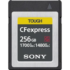 Sony CEB-G256 memoire flash 256 Go Carte PC - Neuf