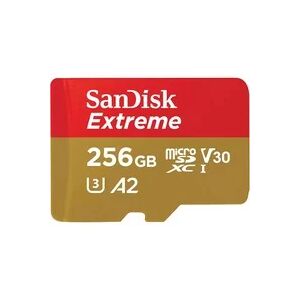 Sandisk Extreme 256 Go, Carte mémoire - Publicité