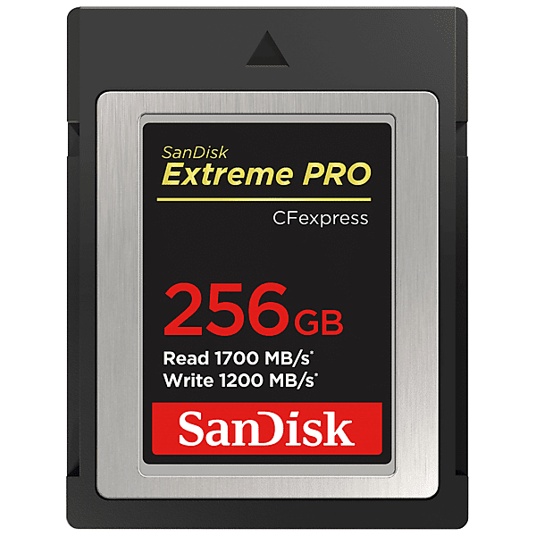 sandisk scheda di memoria  cfexpr extreme pro 256gb