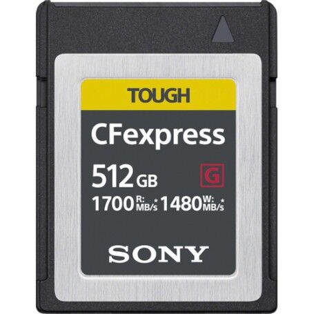 Sony CEB-G512 memoria flash 512 GB PC Card (CEB-G512)