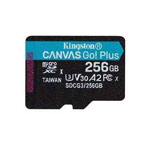Kingston Canvas Go! Plus microSD memory card Class 10, UHS-I 256GB microSDXC 170R A2 U3 V30 Single Pack w/o ADP