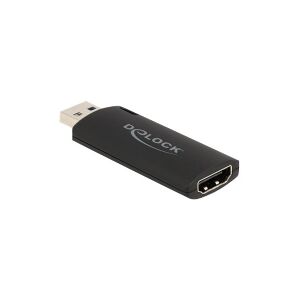 Delock - Videooptagelsesadapter - USB 2.0 - sort