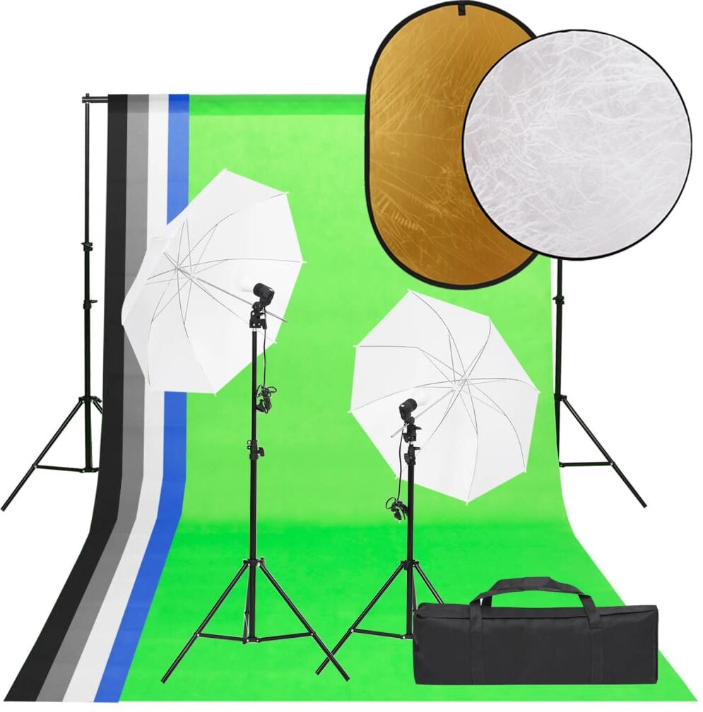 vidaXL Kit de estudio fotográfico con set de luces, fondo y reflector