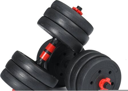 Geemax Halteres DB-01-20 kg