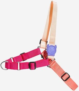 Zee.Dog Arnês para Cães Cinnamon (Rosa - 2.5x105x47 cm - Poliéster - L - Porte Médio e Grande)