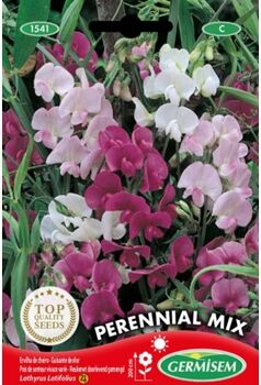 Germisem Sementes Ervilha De Cheiro Perennial Mix