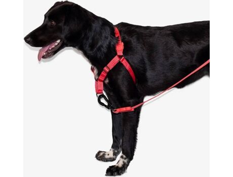 Zee.Dog Arnês para Cães Neon Soft-Walk (Coral - 31-38.5 cm - Poliéster - S - Porte Pequeno e Médio)
