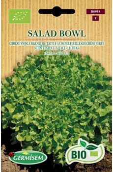 Germisem Sementes Bio Sementes Alface Folha De Carvalho Salad Bowl Verde