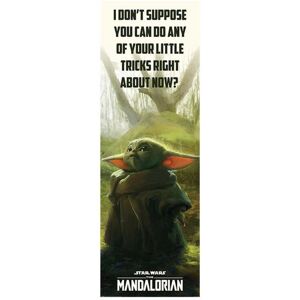 Star Wars: The Mandalorian Krieg Der Sterne: Das Mandalorian Special Tricks-Poster