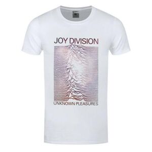 Pertemba Fr - Apparel Joy Division Unisex-Erwachsene Unknown Pleasures Farbverlaufs-T-Shirt