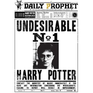 A3-print - Harry Potter - Daily Prophet - Uønsket nr. 1 Multicolor