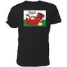 SDJF Welsh Dragons T shirt Welsh and Lovin It mens Black S