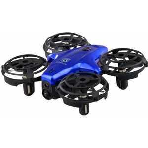 Amewi RC-Auto »Sparrow Blau RT« Blau